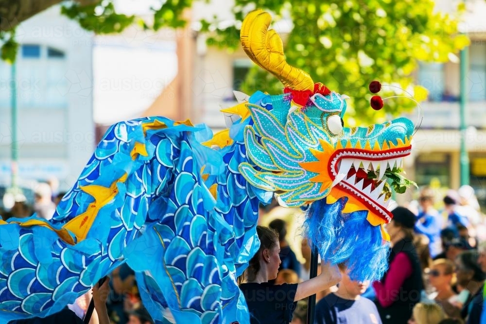 A Chinese Dragon being carried in parade - Australian Stock Image