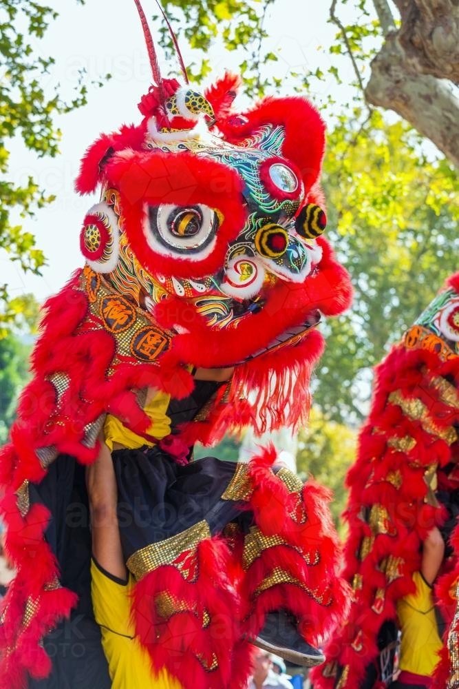 A Chinese dragon dancing in a parade - Australian Stock Image