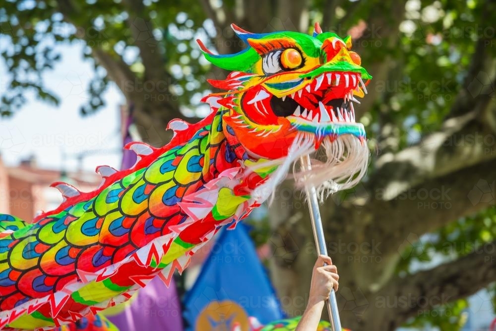 A Chinese Dragon in a parade - Australian Stock Image