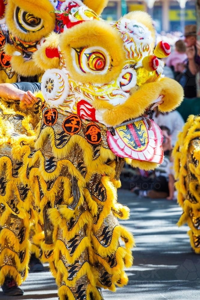 A Chinese Dragon in a parade - Australian Stock Image