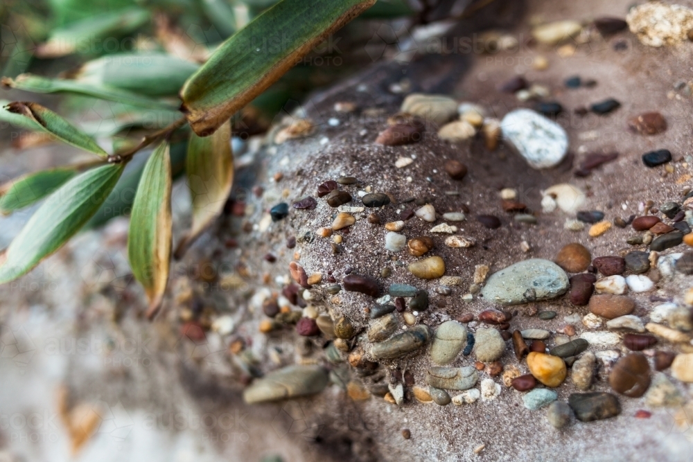 A close up of small, colourful pebbles, naturally embedded in a sandstone rock structure. - Australian Stock Image