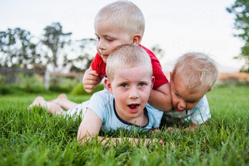 A close up of three brothers tackling each other in play on vibrant green grass. - Australian Stock Image
