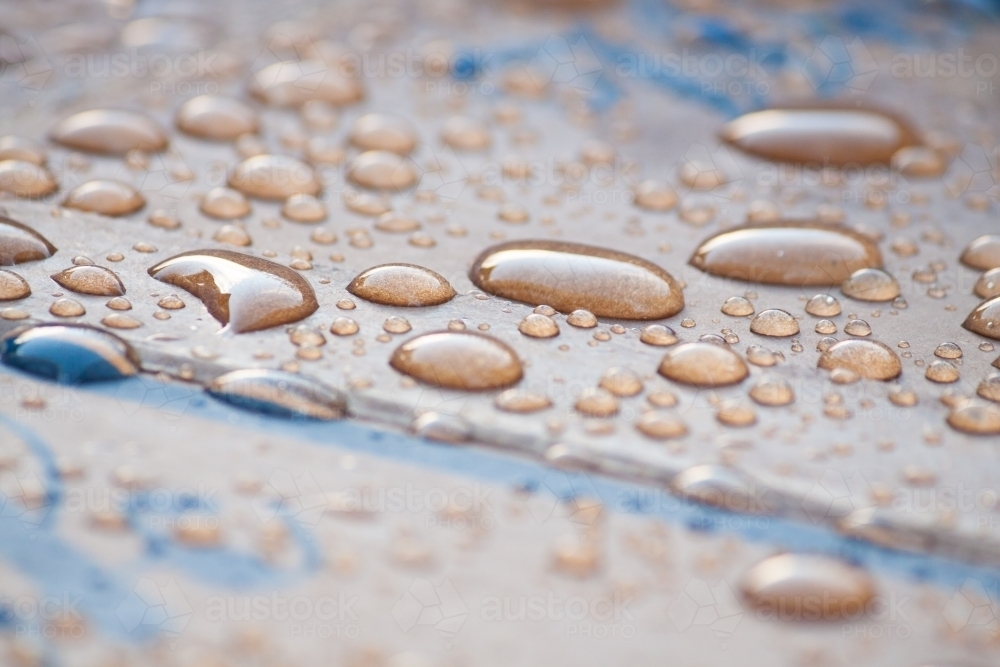 A close up of water droplets on waxed cardboard - Australian Stock Image