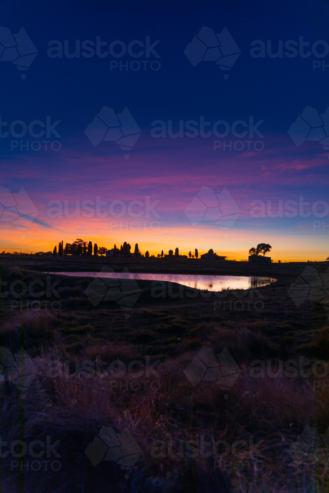 Image of A colouful dawn with a purple sky and silhouettes of trees and ...