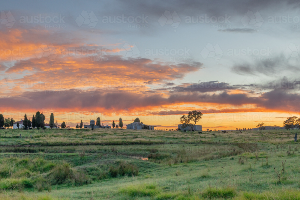 A colourful dawn sky, with a green paddock and the silhouette of farm buildings - Australian Stock Image