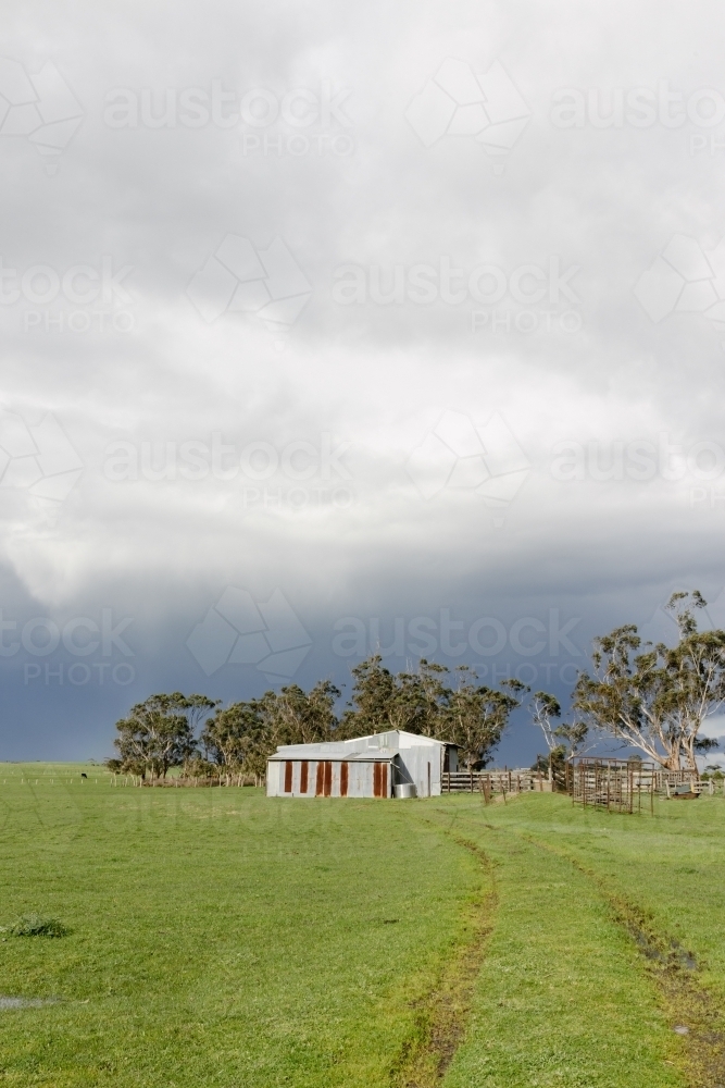 A corrugated iron shed on an Australian farm with green grass and a moody sky in the back ground - Australian Stock Image