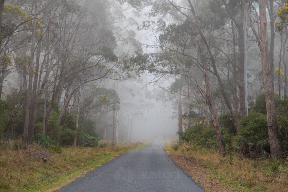 A country road on a mountain on a misty morning - Australian Stock Image