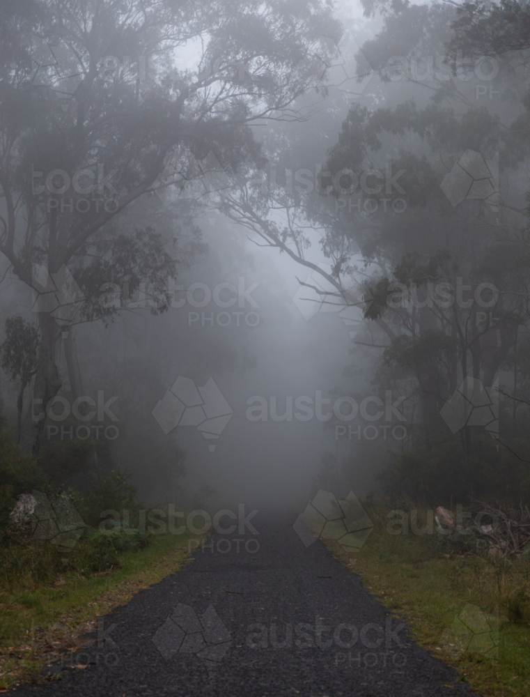 A country road on a mountain on a misty morning - Australian Stock Image