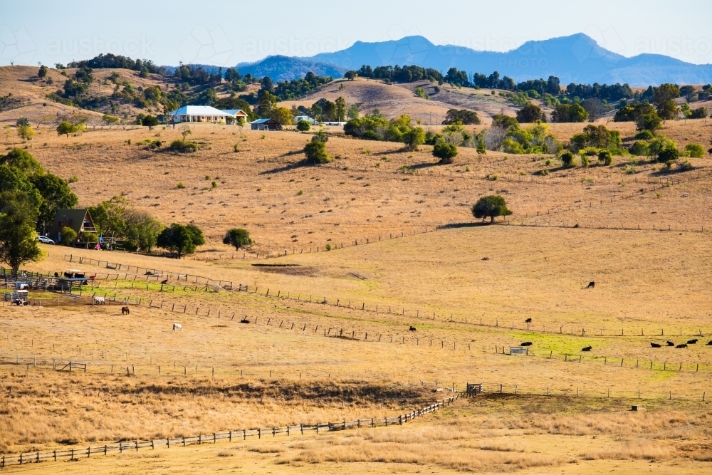 A country rural scene of brown grassy paddocks and hills in Boonah, Australia. - Australian Stock Image