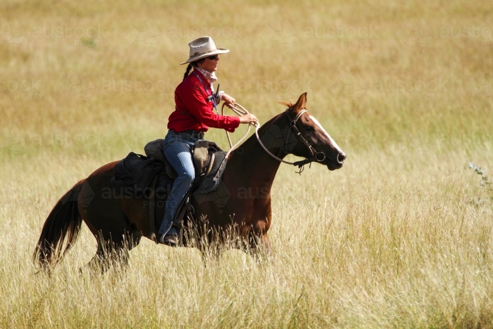 A country woman riding a horse in tall grass. - Australian Stock Image