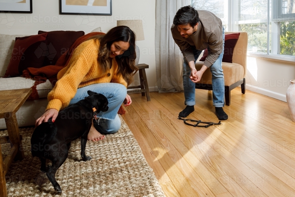 A couple at home with their dog about to go out for a walk - Australian Stock Image