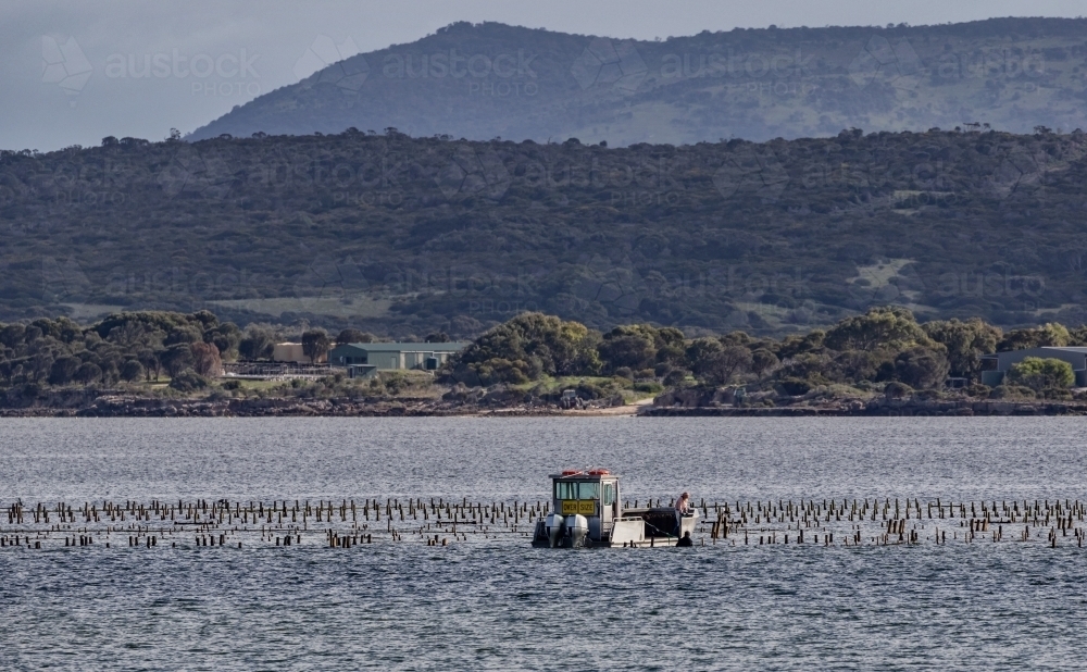 A couple with their boat, checking on the oyster beds in the bay with mountain range in background - Australian Stock Image