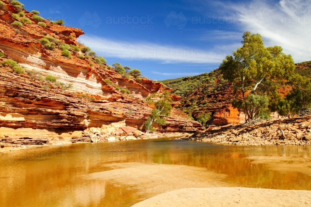 A creek and sandstone cliffs in Kalbarri National Park, WA. - Australian Stock Image