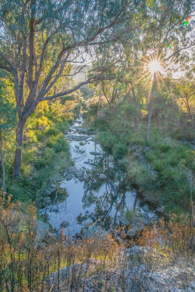 A creek in the country, a star burst, green trees and gum tree - Australian Stock Image