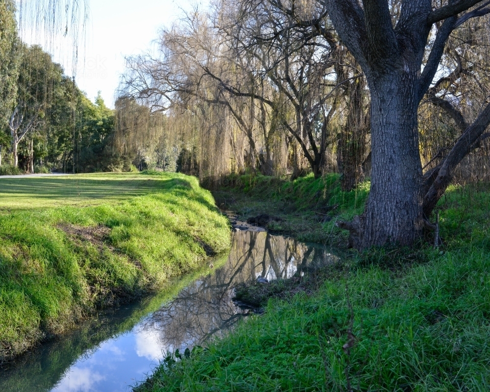 A creek winds its way through a suburban park - Australian Stock Image
