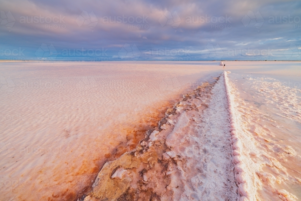 a crusty corrugated fence line running off into the distance over a pink salt lake - Australian Stock Image