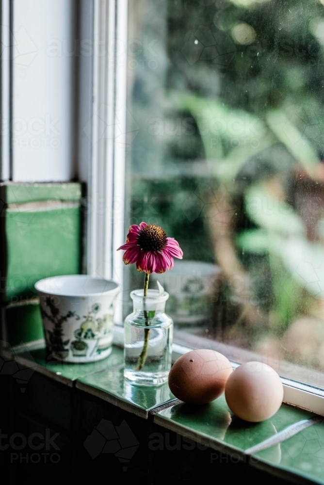 A cup, two eggs and a wilting flower in a vase sitting on a window sill. - Australian Stock Image
