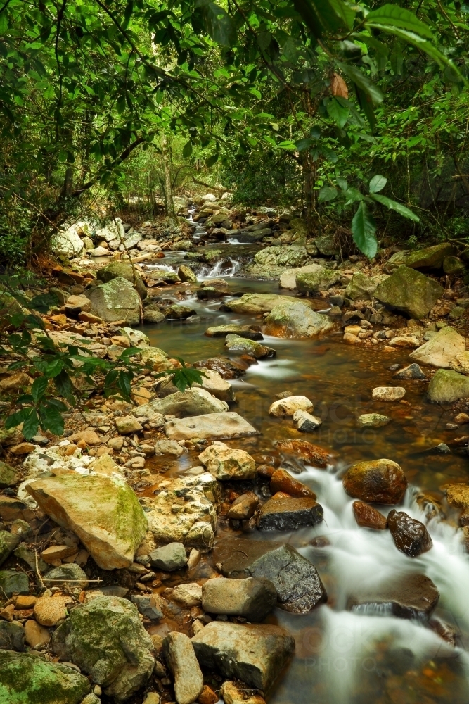 A delicate creek in Springbrook National Park. - Australian Stock Image