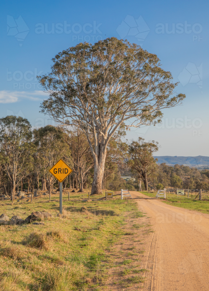 A dirt country road and a cattle grid crossing under a blue sky - Australian Stock Image
