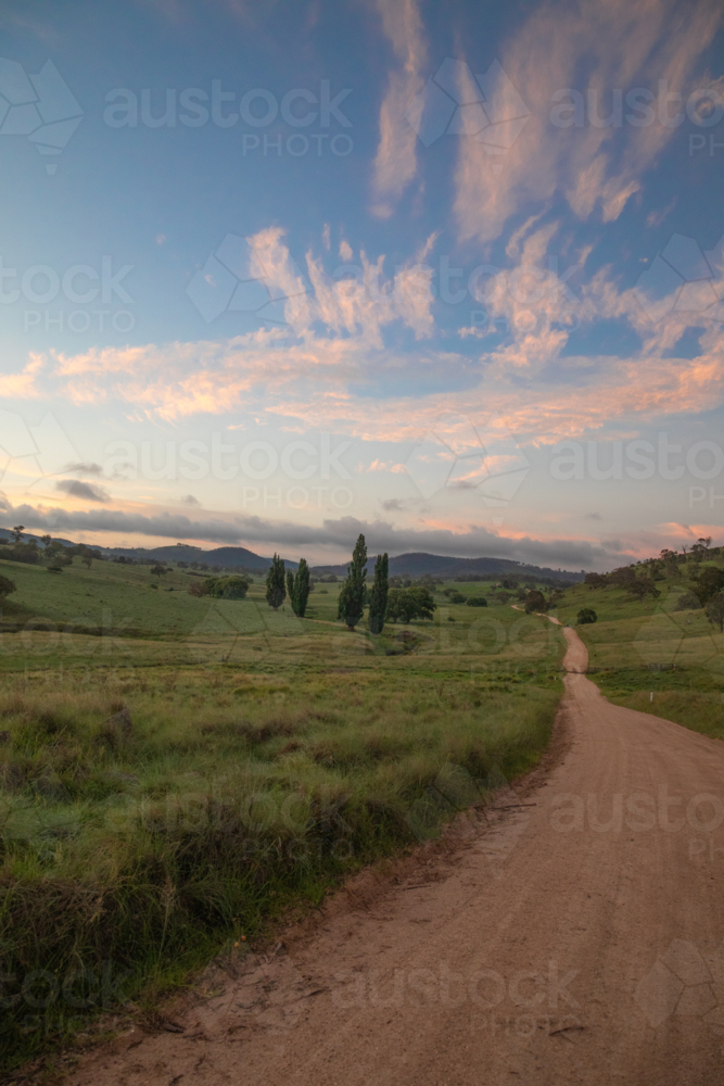 A dirt country road under a sunrise sky with clouds and poplar trees in the distance - Australian Stock Image