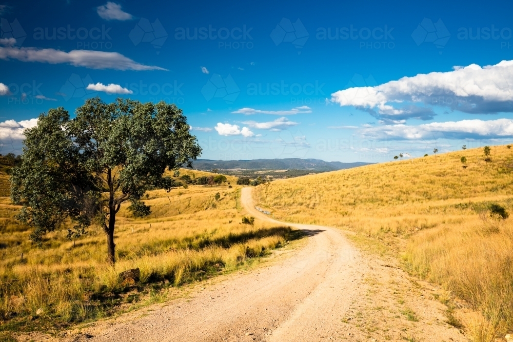 A dirt road curving and rolling over brown grassy hills - Australian Stock Image