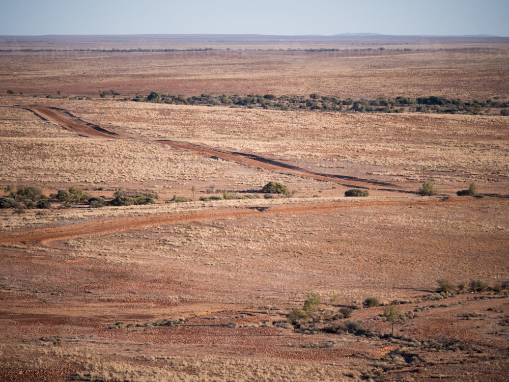 A dirt road running through farmland in outback New South Wales - Australian Stock Image