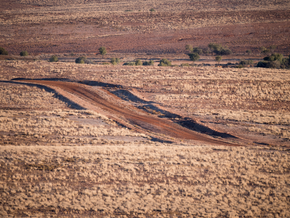 A dirt road running through farmland in outback New South Wales - Australian Stock Image