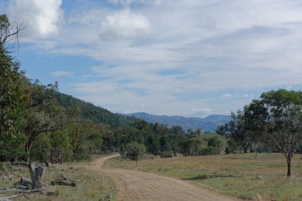 A dirt road winding through a grassy area with scattered trees. - Australian Stock Image