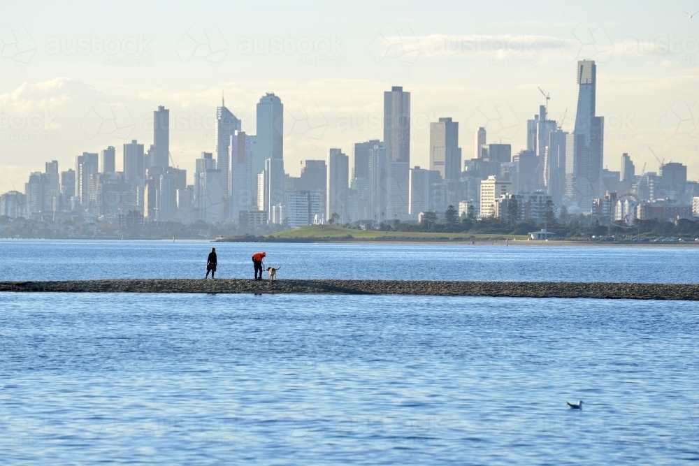 A dog friendly beach in the bay with the city skyline behind it - Australian Stock Image