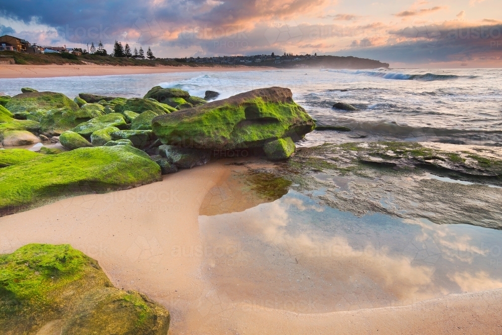 A dramatic coastal sunrise over large green covered rocks. - Australian Stock Image