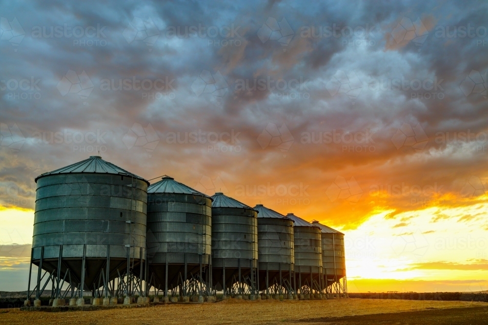 A dramatic sunset over six grain silos on a farm near Breeza on the Liverpool Plains, NSW - Australian Stock Image