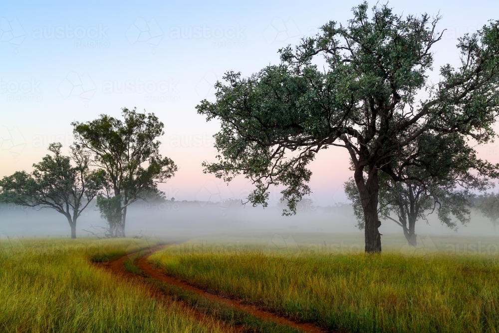A farm dirt road disappears into early morning fog - Australian Stock Image