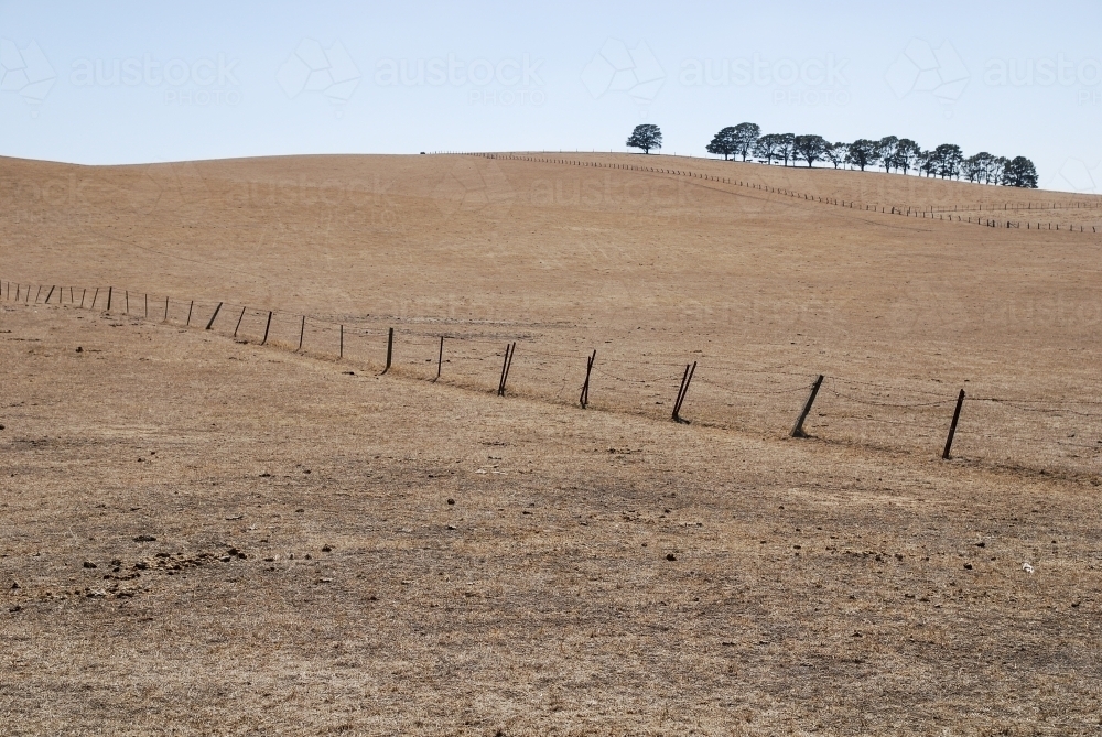 A farm landscape during a drought - Australian Stock Image