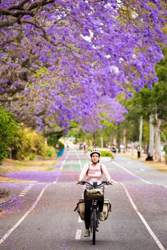 A female cyclist rides along a riverside bike path under the flowering jacarandas in Brisbane - Australian Stock Image