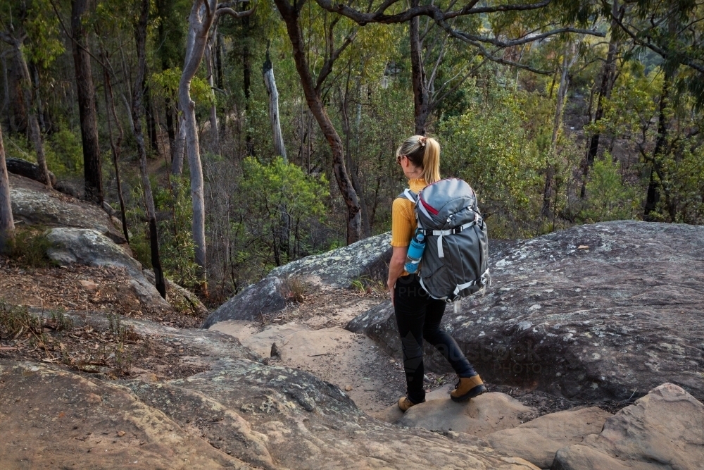 A female hiker bush walking in the Blue Mountains, Australia - Australian Stock Image