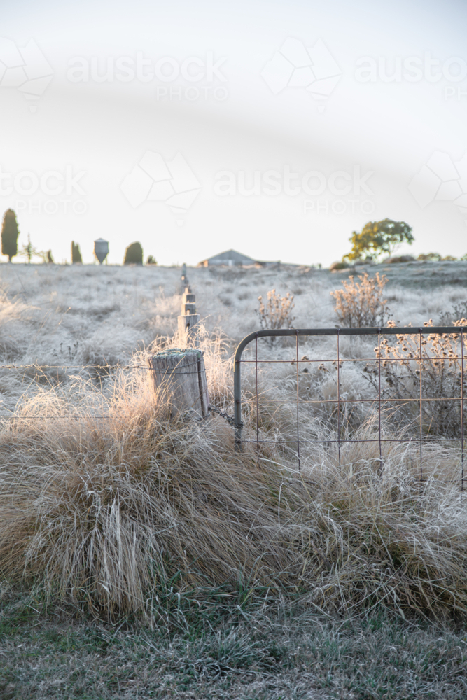A fenceline, a gate and a frozen field on a winter's morning - Australian Stock Image
