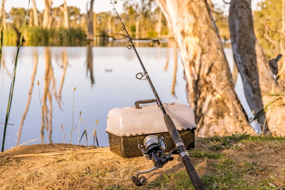 A fishing road and tackle box sitting at the base of a gum tree on a river bank - Australian Stock Image