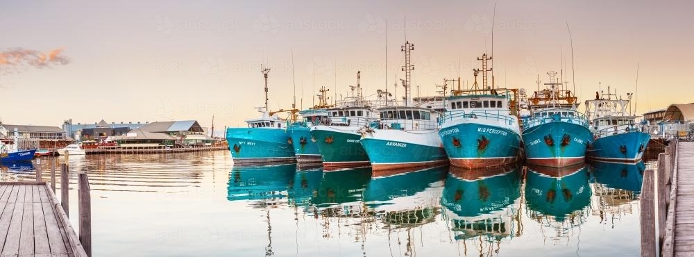 A fleet of fishing boats at anchor - Australian Stock Image