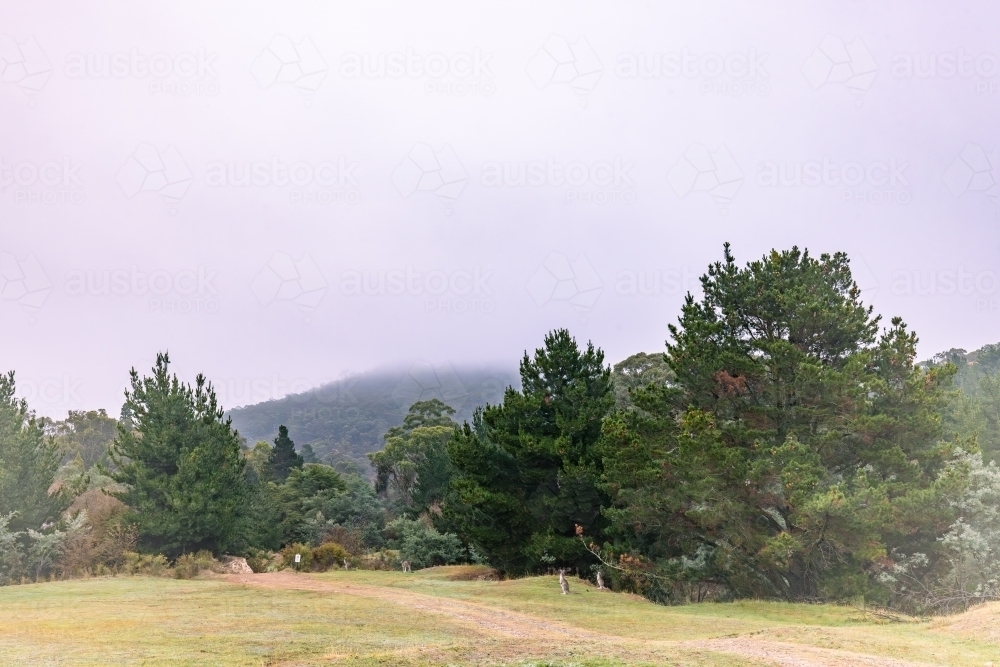 A foggy morning in the historic gold mining town of Hill End - Australian Stock Image
