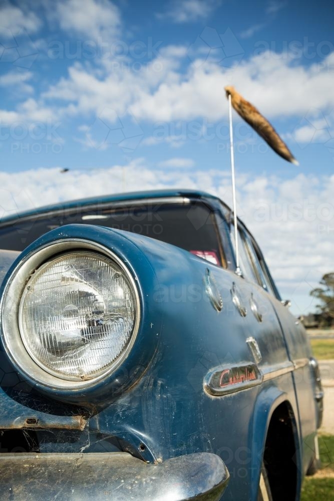 Image of A fox tail flying from an old car s antenna Austockphoto