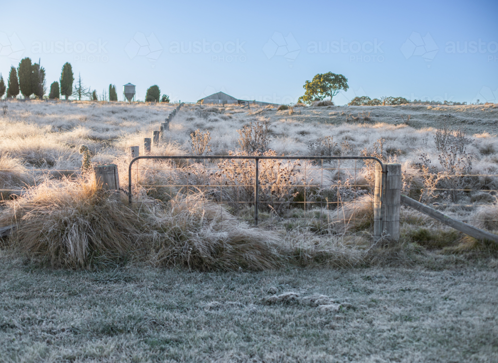 A frozen field, a gate and a winter scene - Australian Stock Image