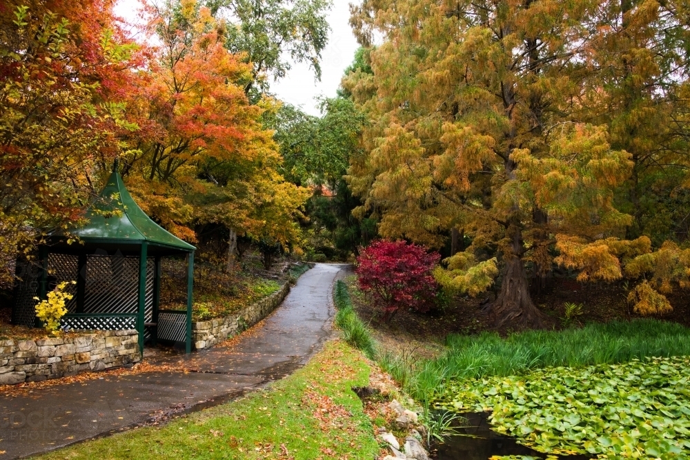 A garden path leading through the autumn coloured foliage at Mt Lofty - Australian Stock Image