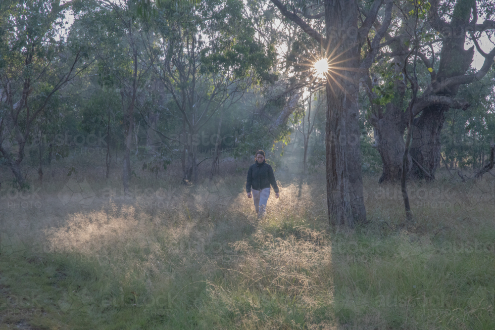 A girl walking through the bush one early morning with the rays of the morning sun - Australian Stock Image