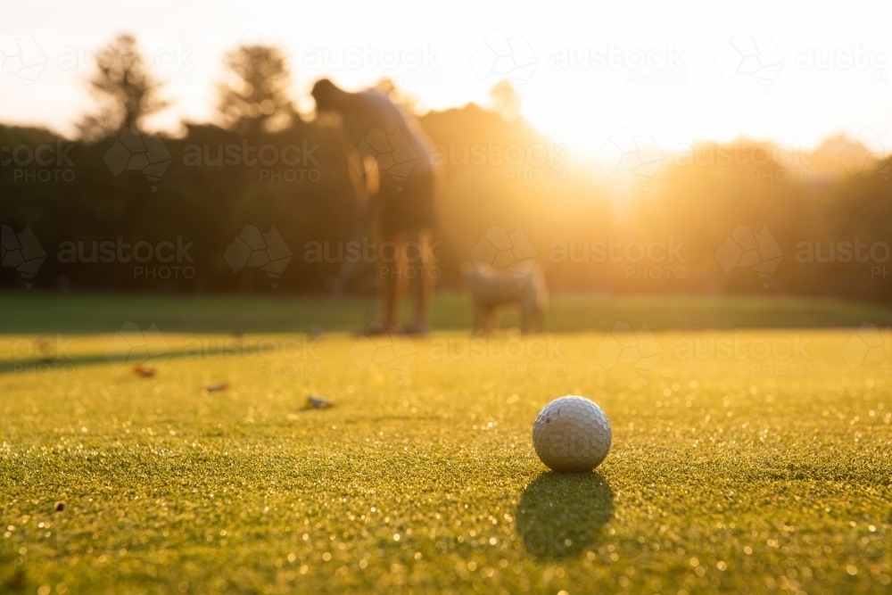 A golf ball sitting on green with golfer and his dog in background - Australian Stock Image
