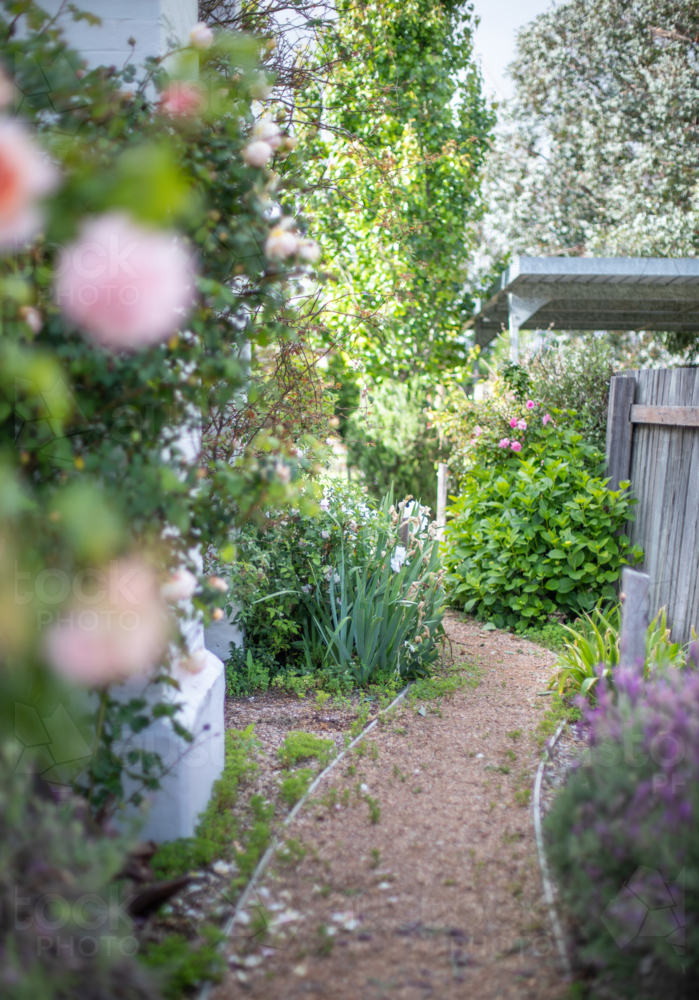 A gravel path in a country garden - Australian Stock Image