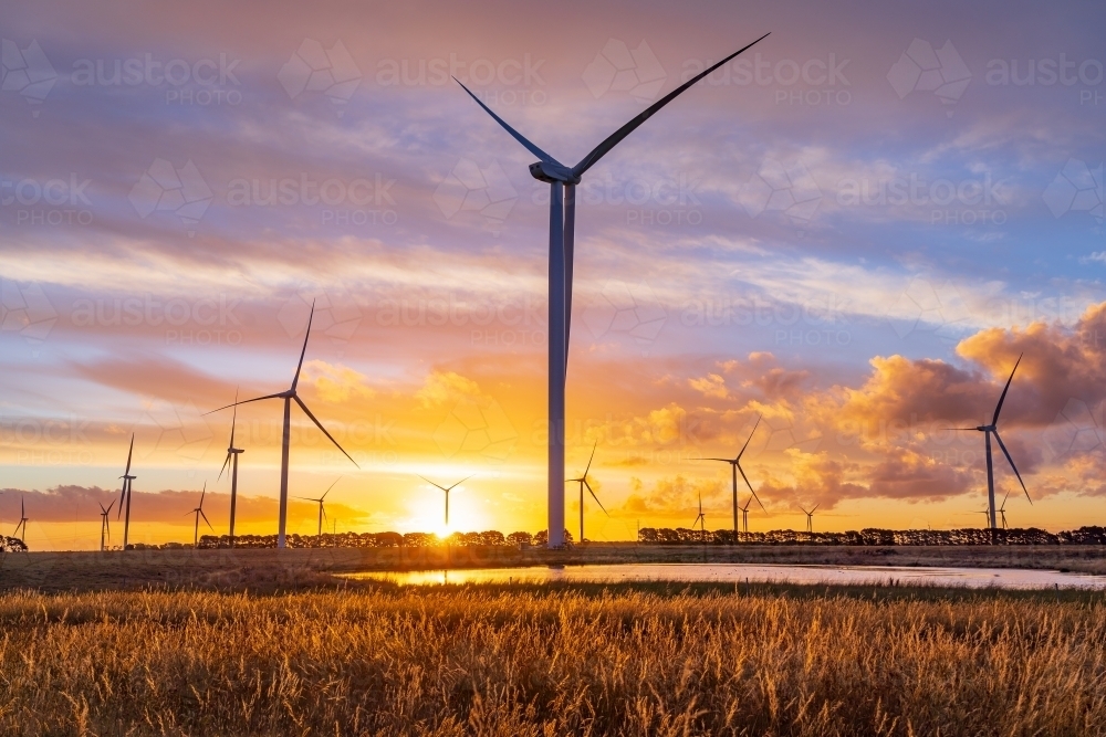 A group wind turbines silhouetted against a colourful sunset sky - Australian Stock Image