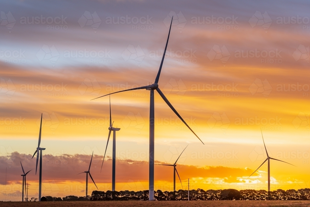 A group wind turbines silhouetted against a colourful sunset sky - Australian Stock Image