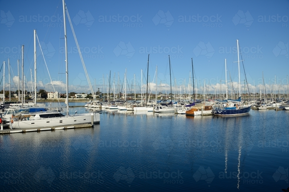 A harbour and pier full of docked boats - Australian Stock Image