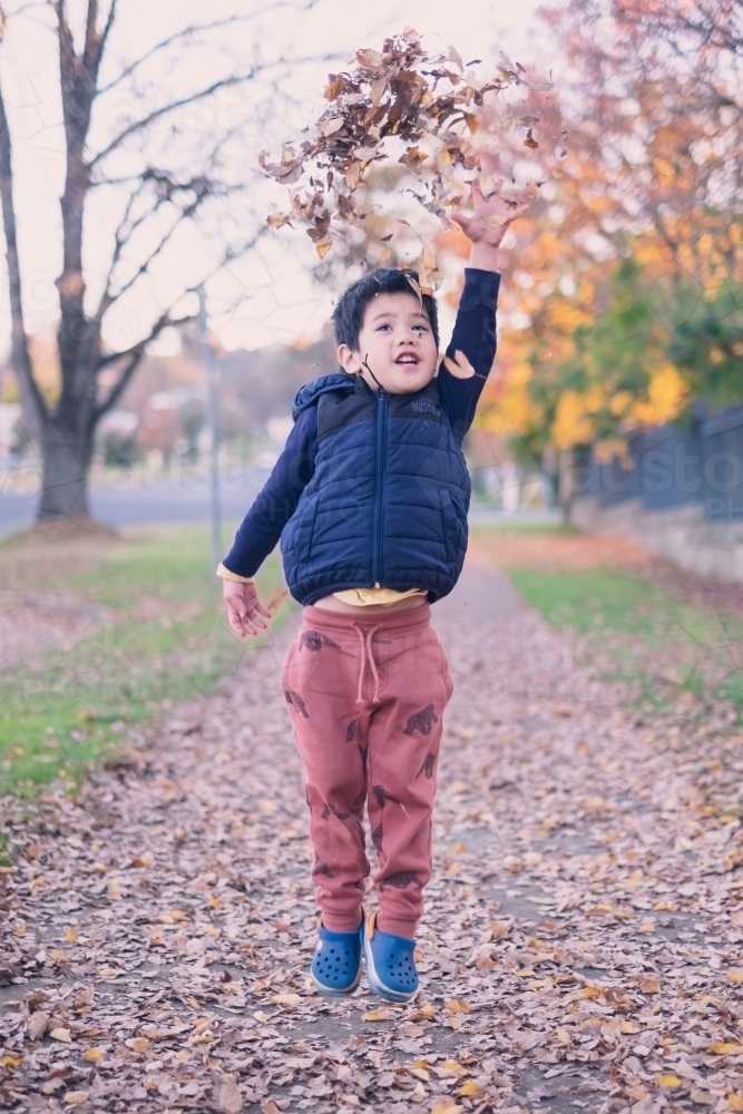 a kid having some fun with autumn leaves - Australian Stock Image