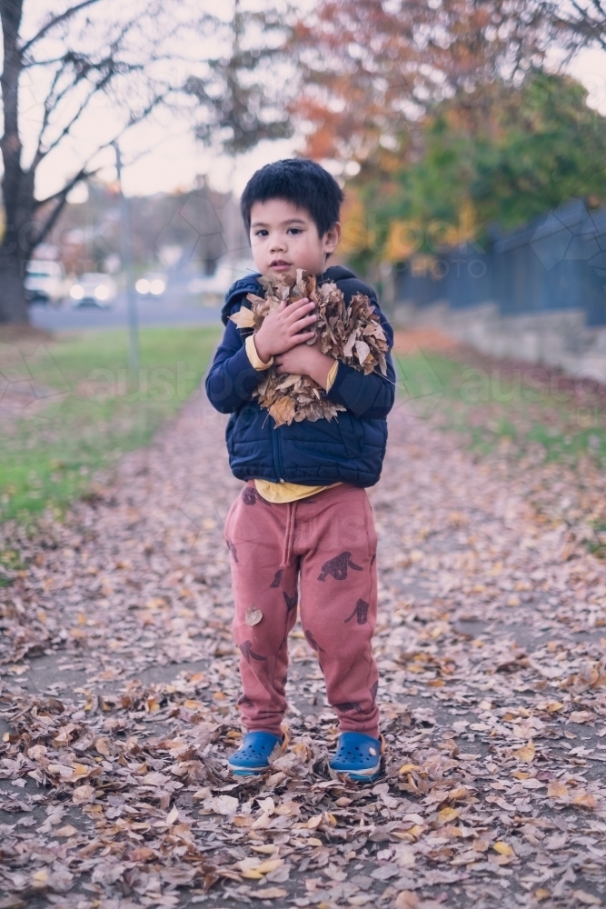 a kid having some fun with autumn leaves - Australian Stock Image